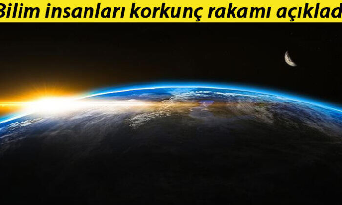 Dünyanın sadece yüzde 3’ü ekolojik açıdan bozulmadı