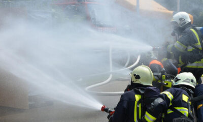 İspanya’da akılalmaz olay: Ormanı söndürebilmek için yakmış!