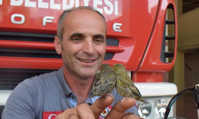 Düzce’de florya yavruları itfaiyecilerin maskotu oldu