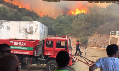 Son dakika: Tarım ve Orman Bakanı Bekir Pakdemirli orman yangınlarında son durumu paylaştı